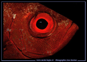The Eye... :O)... by Michel Lonfat 